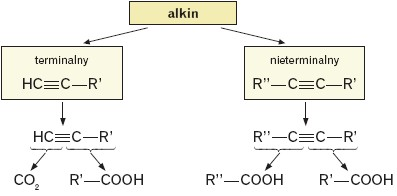 Podział alkinów