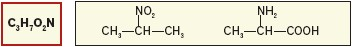 metamery nitrozwiązek- -aminokwas