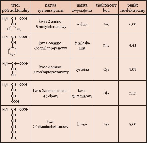 Wzory i nazwy przykładowych aminokwasów