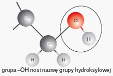 Grupa hydroksylowa