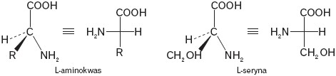 L-aminokwasy