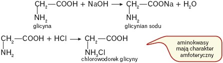 Reakcje aminokwasów z zasadami i kwasami