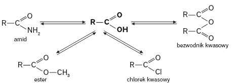 Hydroliza do kwasu karboksylowego
