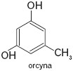 Orcyna