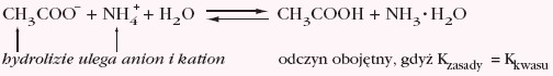 Hydroliza kationowo-anionowa