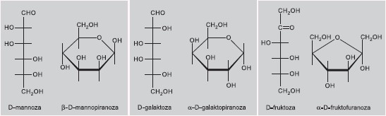 formy łańcuchowe i cykliczne monosacharydów.
