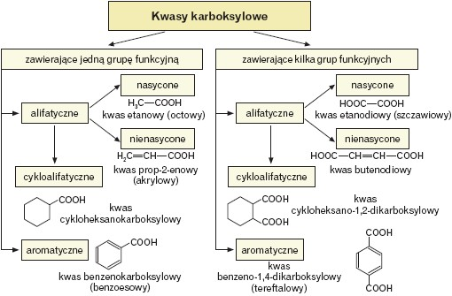 Podział kwasów karboksylowych