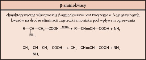 β-aminokwasy