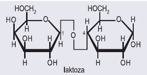 laktoza
