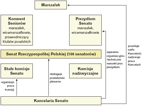 Schemat struktury senatu