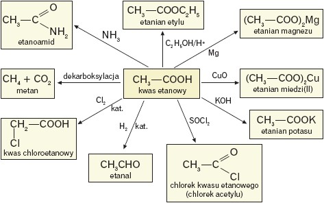 Reakcje w których kwas etanowy jest substratem