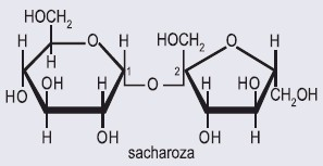 sacharoza