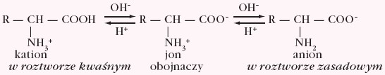 Formy jonowe aminokwasów