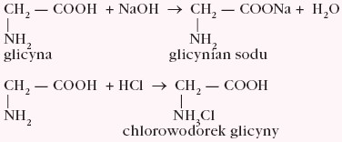 Reakcja aminokwasu jak związku amfoterycznego