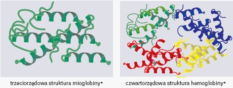 Uproszczone schematy białek czwartorzedowych