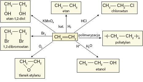 Reakcje w których eten stanowi substrat