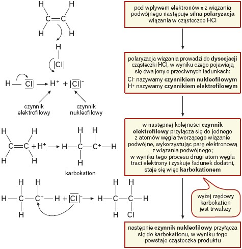 Mechanizm addycji cząsteczki HCl do etenu