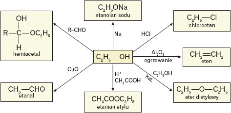 Przemiany chemiczne w których etanol jest substratem