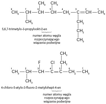 Nazewnictwo cząstek alkenów