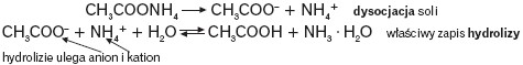Hydroliza kationowo-anionowa