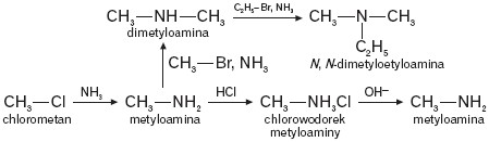 Przemiany chemiczne z udziałem amin
