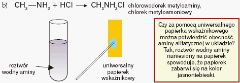 Chlorowodorek metyloaminy