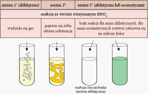 Określanie rzędowości amin
