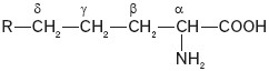 Opis aminokwasu