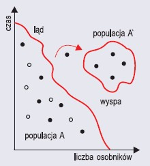 Efekt założyciela (wg Kowalczyk, Filipska, 2004)